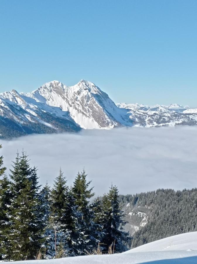 Landhaus Rosner Dorfgastein Exteriör bild